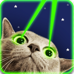 Ms. Shirley Focuses on Classroom Procedures